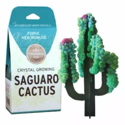 Lucinda's Crystal Growing Saguaro Cactus Kit New
