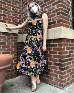 Lucinda's Better Days Dahlia Dress By Nooworks