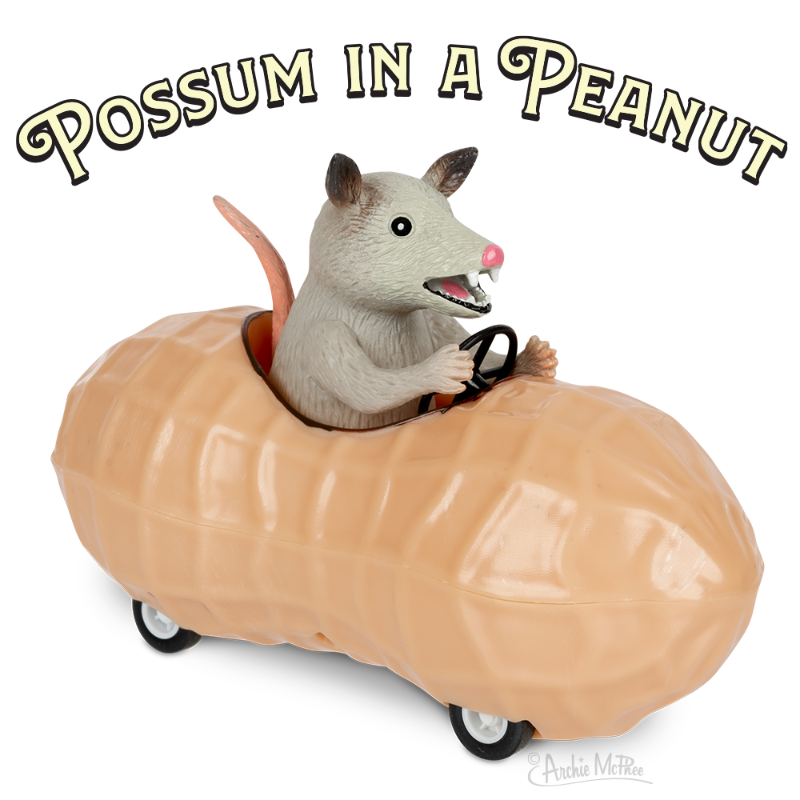 Lucinda's New Possum In A Peanut 4 Lucinda's New Possum In A Peanut