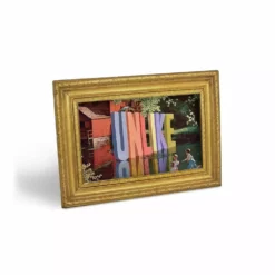 Lucinda's The Daily Shitshow New