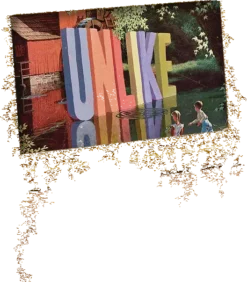 Lucinda's The Daily Shitshow New