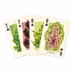Lucinda's Houseplant Jungle Playing Cards Gifts