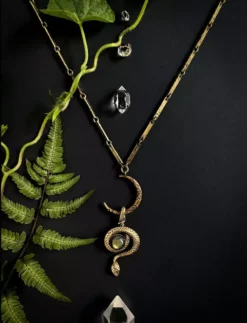 Lucinda's Immortal Serpent Necklace