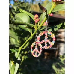 Lucinda's Blossom Peace Sign Earring New