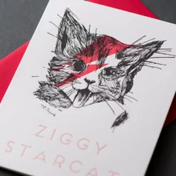 Lucinda's Ziggy Star Cat Card