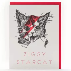 Lucinda's Ziggy Star Cat Card